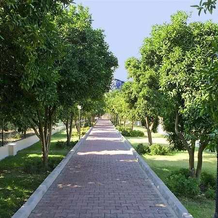 Larissa Park 3*